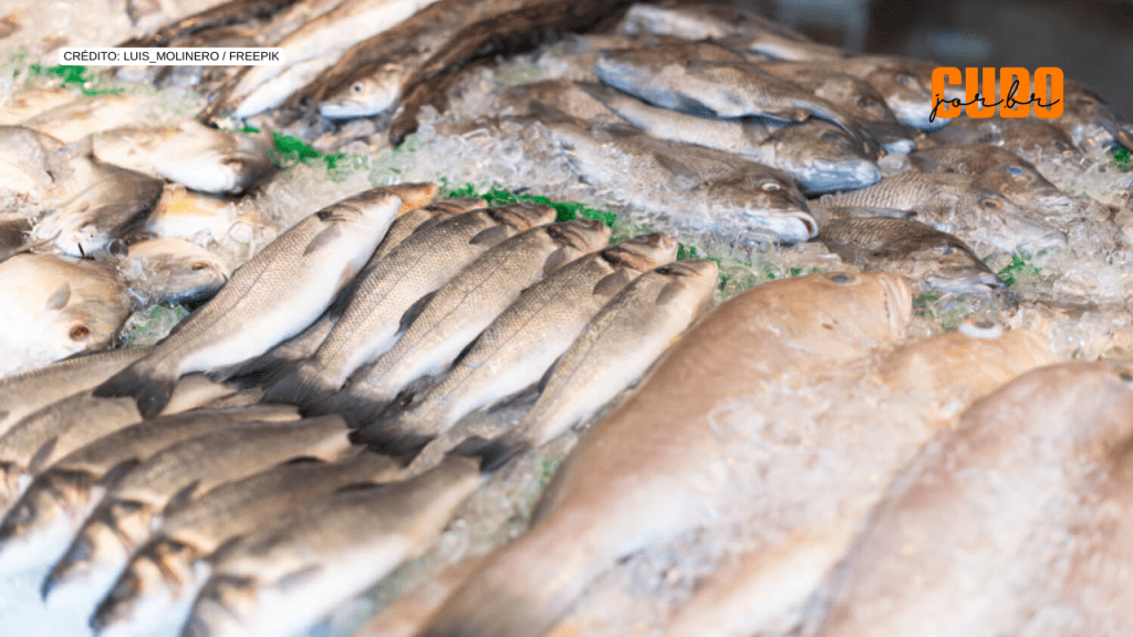 Para evitar exposição ao mercúrio, estudo sugere restrições no consumo de peixes como corvina e pescada&nbsp;amarela