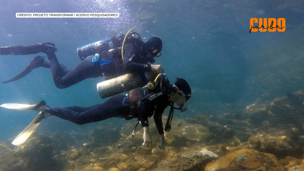 Transformando mares e comunidades através da educação&nbsp;ambiental