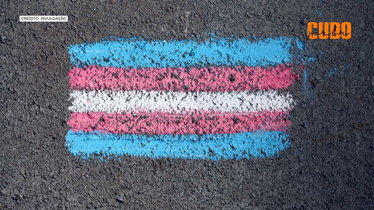 Câmara Municipal de São Luís aprova projeto de reserva de vagas para travestis e transexuais em empresas