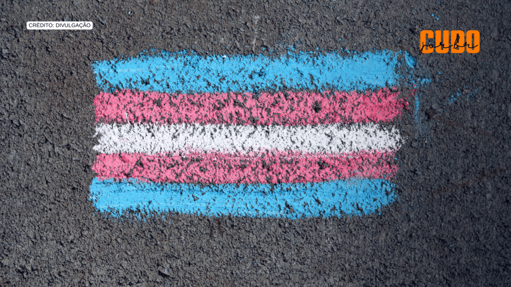 Câmara Municipal de São Luís aprova projeto de reserva de vagas para travestis e transexuais em&nbsp;empresas