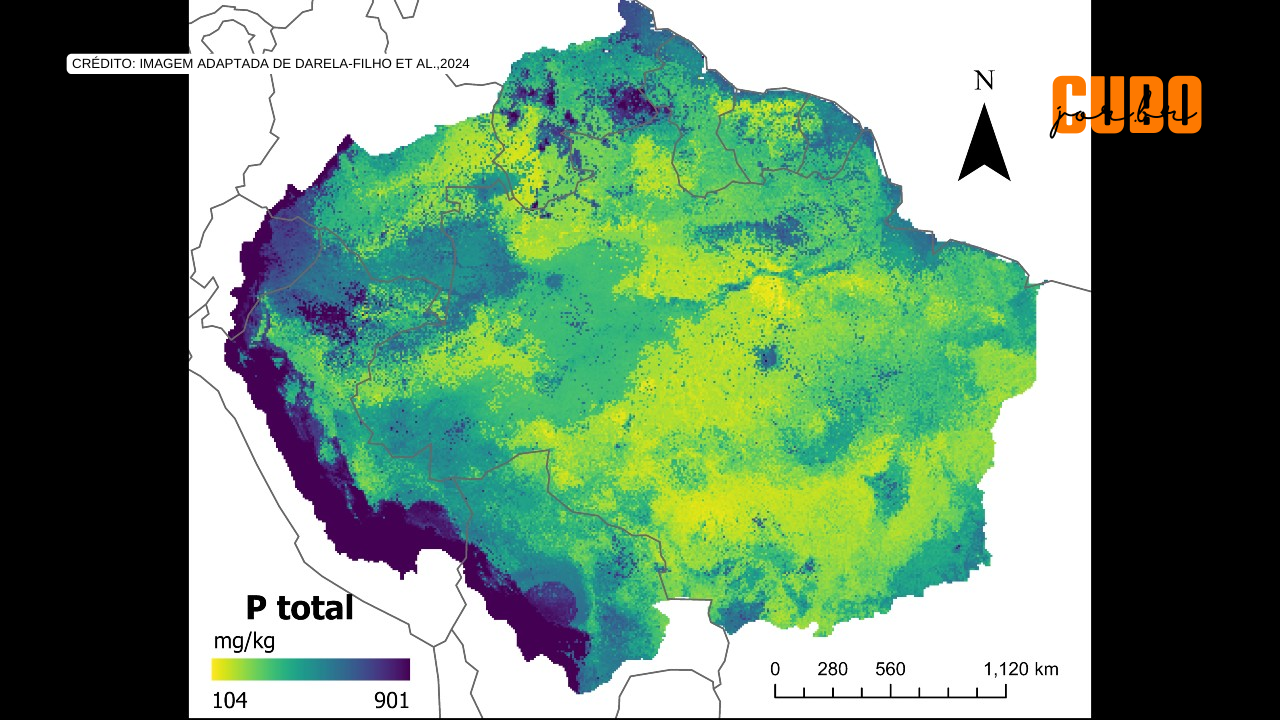 Mapas desenvolvidos com inteligência artificial confirmam baixos níveis de fósforo no solo da Amazônia