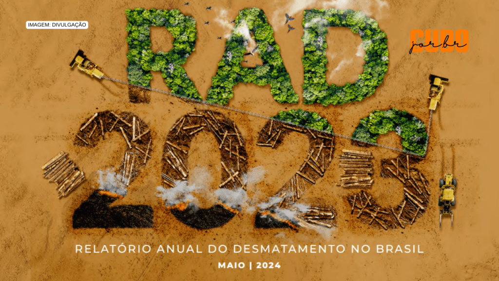 Desmatamento no Maranhão em Terras Indígenas cresceu em&nbsp;2023