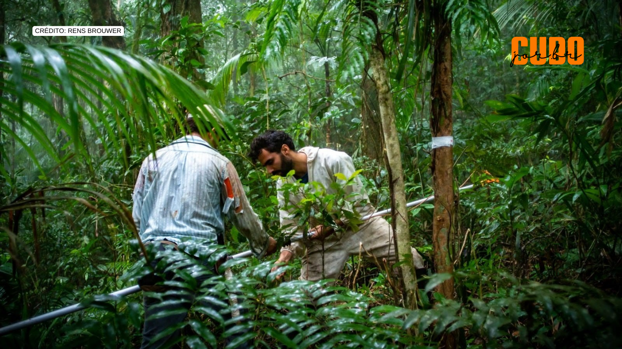 Estudo propõe mudanças para simplificar legislação da Mata Atlântica e aumentar a conservação