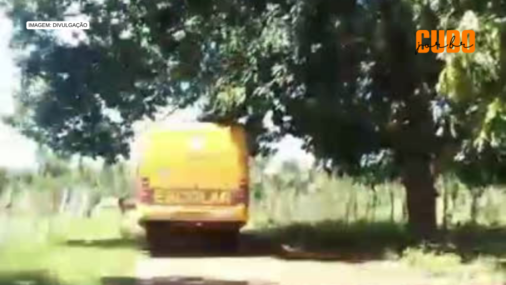 Vídeo: Ônibus Escolar prega no meio do caminho em São&nbsp;Mateus