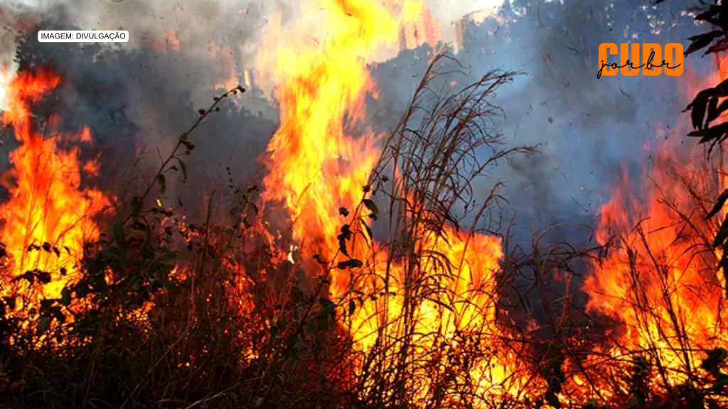 Maranhão é um dos estados mais afetados por incêndios entre 1985 e 2023