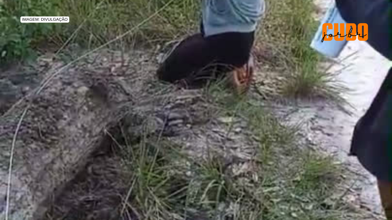 Fazendeiros destroem cercas e mourões de comunidade quilombola no Maranhão