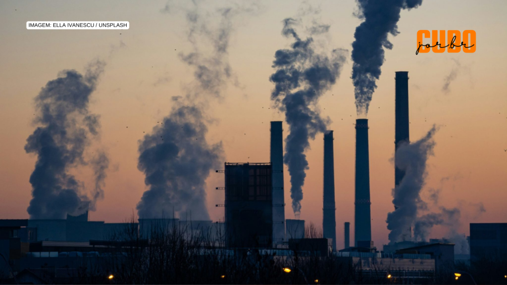 Padrões científicos e transparência podem desbloquear mercado de carbono, alerta relatório internacional