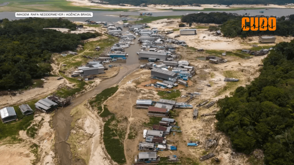 O futuro da alimentação passa por gestão e uso sustentável da&nbsp;água