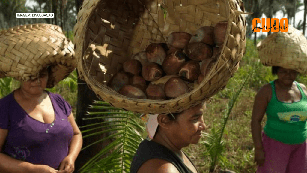 Fundo PPP-ECOS vai destinar R$ 4,1 milhões a projetos ecossociais de mulheres e jovens no MA e&nbsp;TO