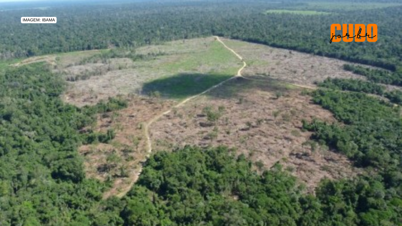 Desmatamento da Amazônia é ainda mais impactado por demandas do centro-sul do que pelas exportações