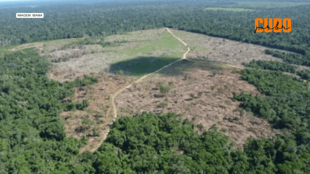 Desmatamento da Amazônia é ainda mais impactado por demandas do centro-sul do que pelas&nbsp;exportações