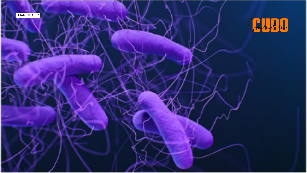 Estudo identifica proteína que afeta o equilíbrio intestinal e a resposta do corpo a infecções bacterianas