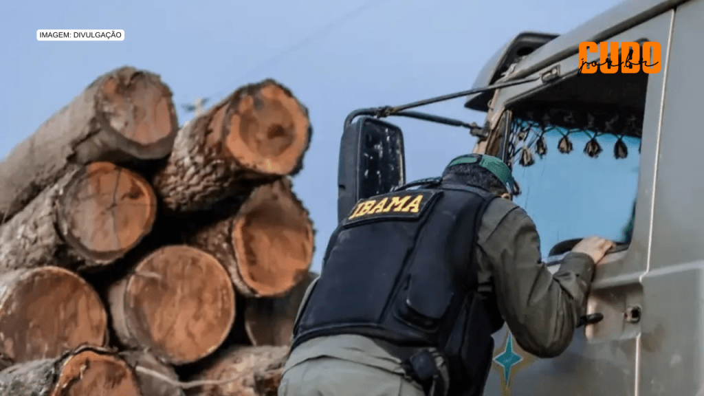 Fiscais do Ibama no Maranhão são condenados por improbidade&nbsp;administrativa