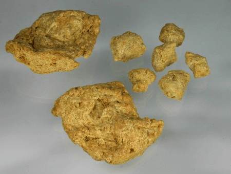 Veganos consomem teor adequado de proteínas e aminoácidos essenciais, mas dependem de ultraprocessados