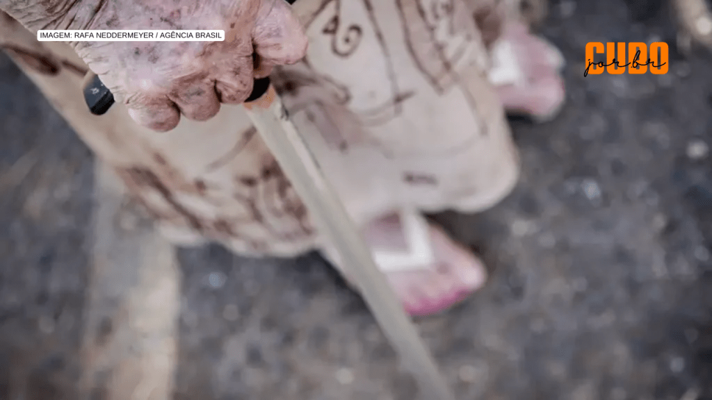 Mortalidade de idosos por desnutrição diminui em duas décadas no Brasil, mas taxas permanecem&nbsp;elevadas