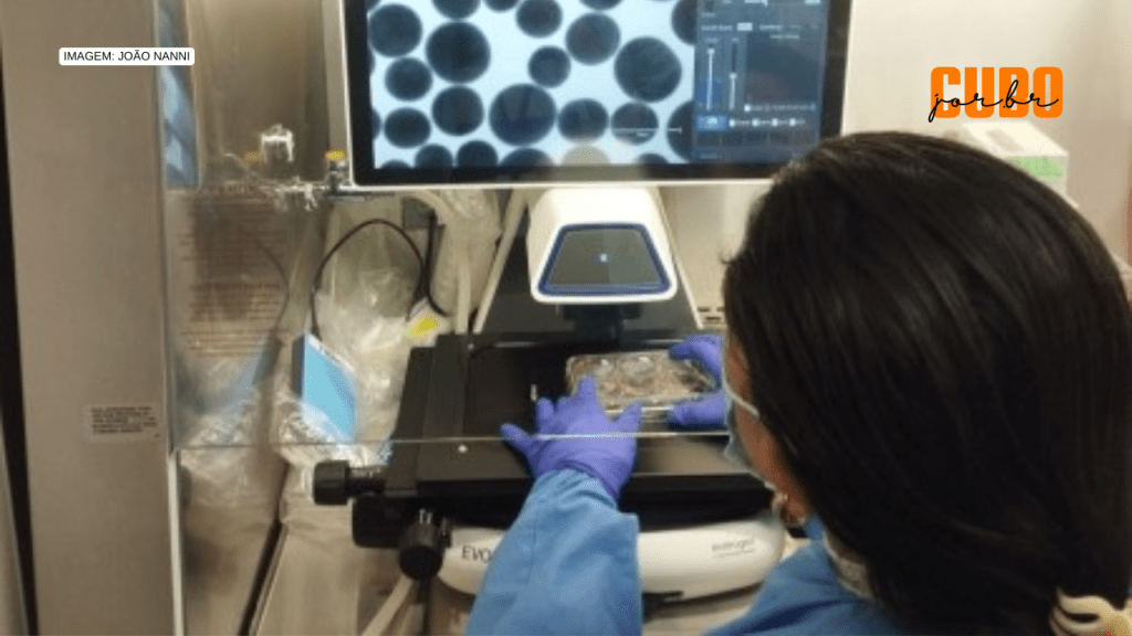 Estudo aponta relação entre aumento do cérebro e gravidade de sintomas no transtorno do espectro&nbsp;autista