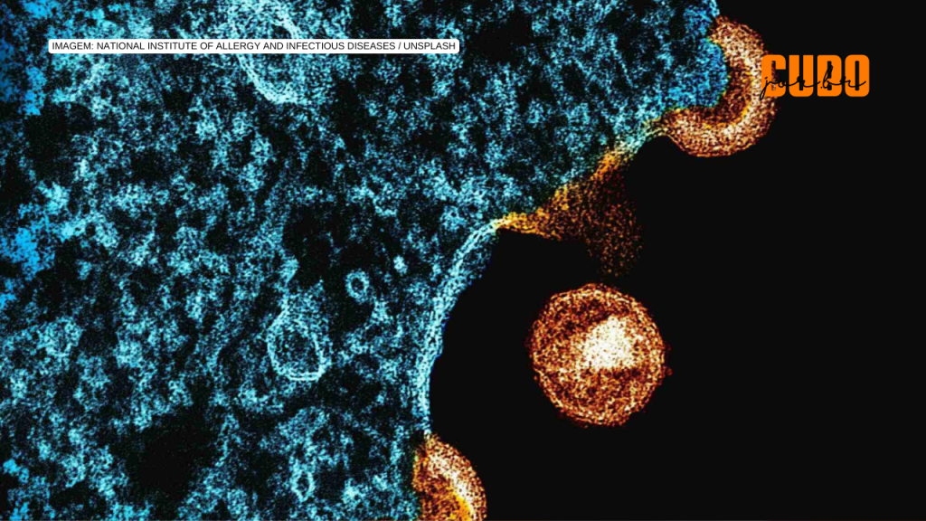 Nova variante do vírus HIV está circulando em pelo menos três estados do Brasil, revela&nbsp;estudo