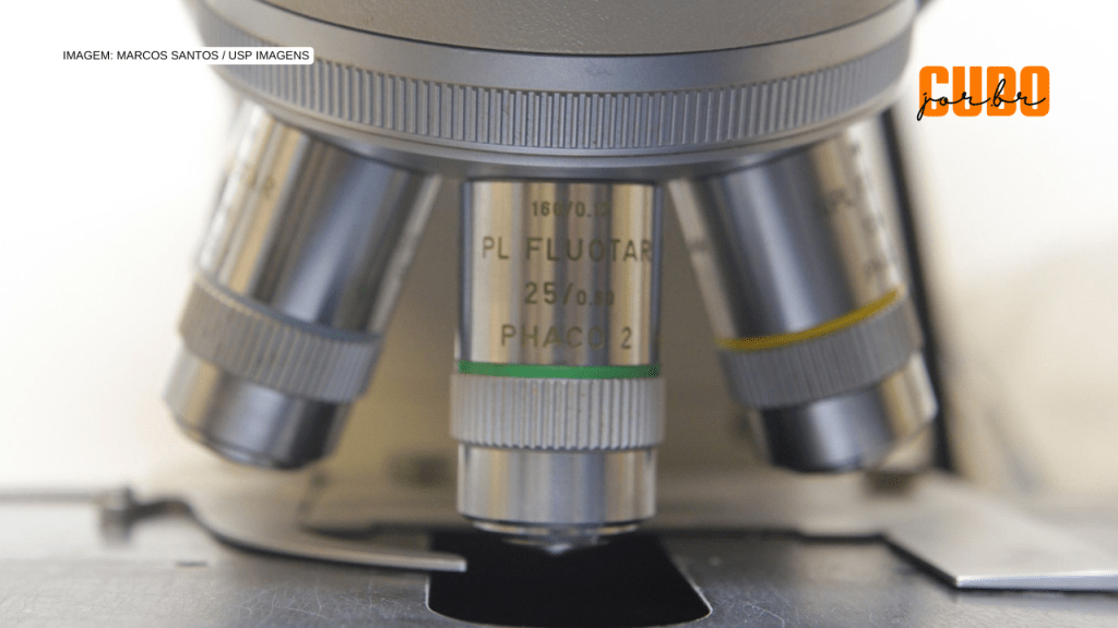 Produção de ciência no BR caiu novamente em 2023; queda foi observada em 35&nbsp;países