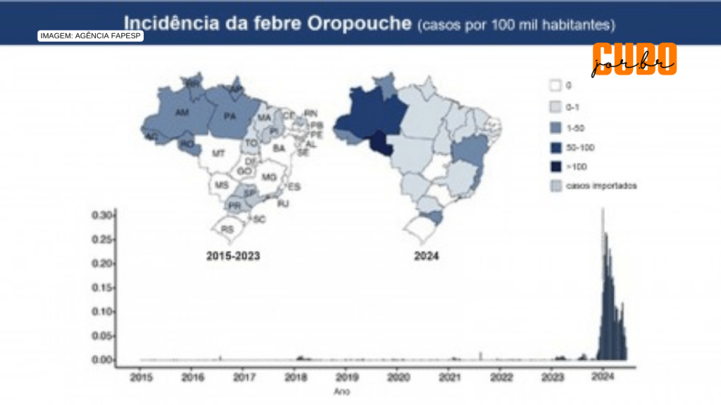 Casos da febre do oropouche aumentaram quase 200 vezes neste ano comparados à última&nbsp;década