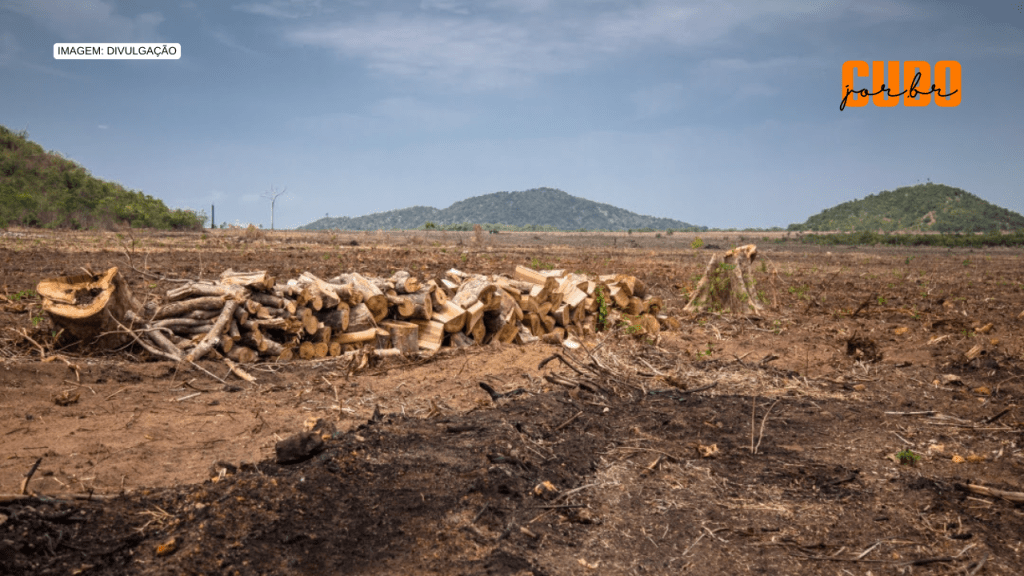 Organizações publicam carta que denuncia destruição socioambiental do Cerrado&nbsp;Maranhense