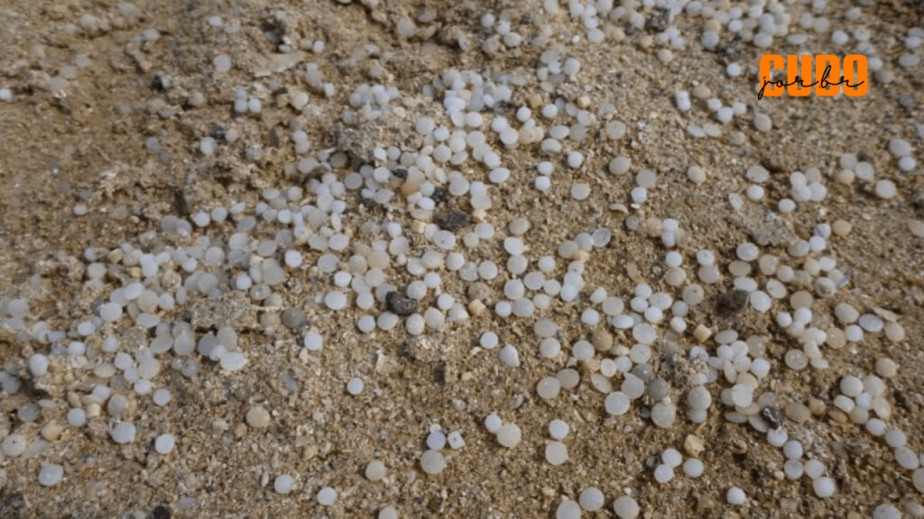 Microplásticos vindos do porto de Itajaí (SC) chegam a praias a 80 km em até dois dias, constata&nbsp;estudo