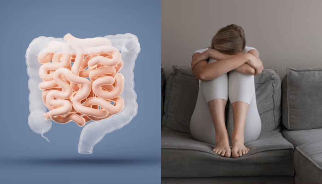 Seu intestino influencia a sua saúde mental? Estudo aponta relação entre microbiota intestinal e&nbsp;depressão