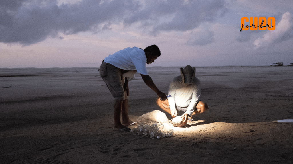 Longa maranhense ‘Betânia’ participa do Festival do&nbsp;Rio