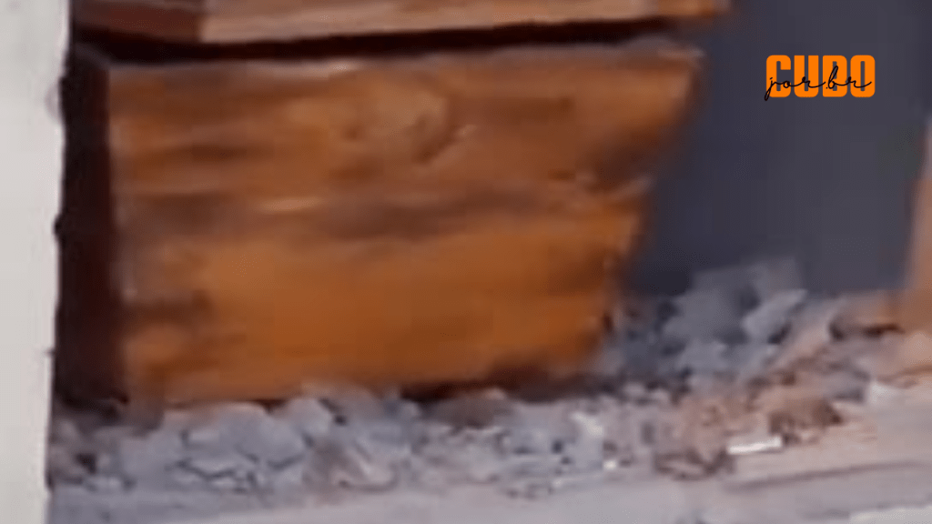 Moradores da Maioba denunciam violação de sepulturas e comércio ilegal de&nbsp;ossos