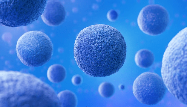 Sabia que células tronco podem ajudar a tratar transtornos mentais? Estudos apontam nessa&nbsp;direção