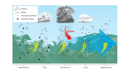 Formação de novas partículas acima do topo das árvores contribui com as chuvas na&nbsp;Amazônia