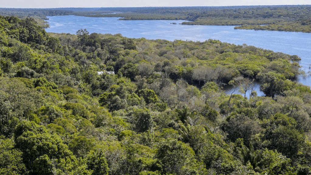 Quatro motivos pelos quais o G20 tem que se mexer quanto ao ambiente, e quem paga essa&nbsp;conta