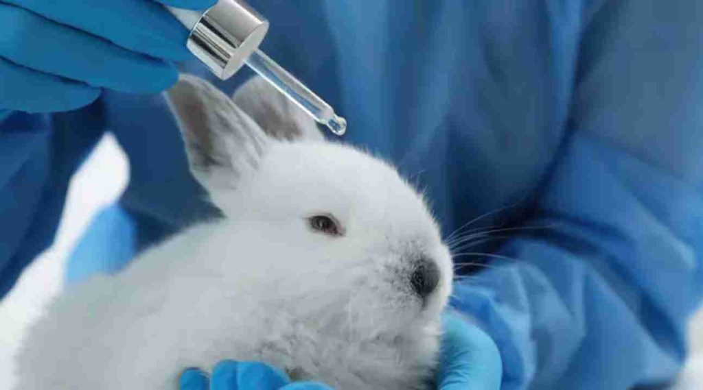 Lei que cria Inventário de Substâncias Químicas e restringe testes em animais é sancionada no&nbsp;Brasil