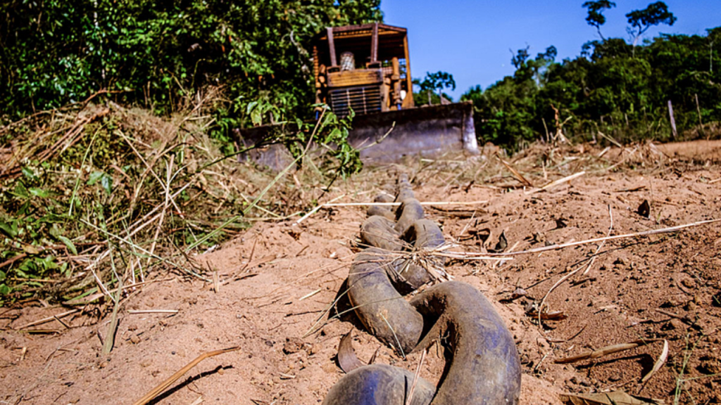 Violência no campo: Maranhão lidera em casos de contaminação por agrotóxicos e aumento de conflitos pela&nbsp;terra