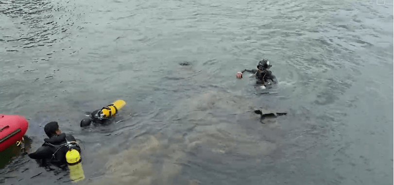 Número de mortos após queda de ponte entre MA e TO sobe para 9; buscas seguem por&nbsp;desaparecidos