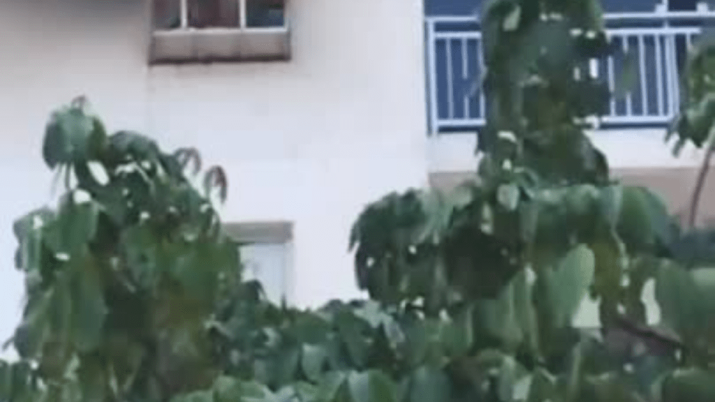 Incêndio atinge apartamento no Brisas Life, no Cohafuma, e é controlado pelos&nbsp;Bombeiros