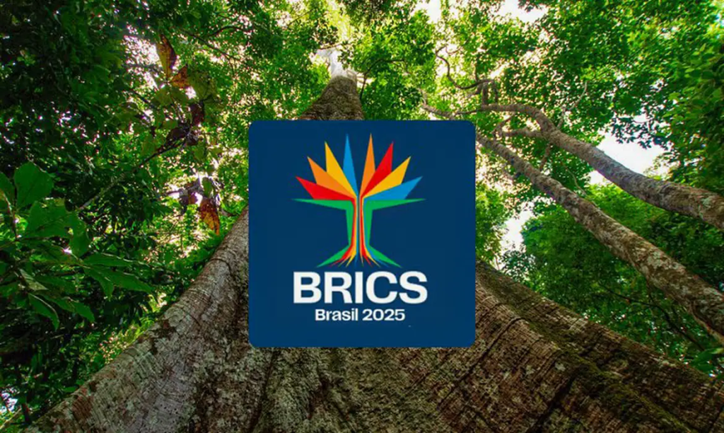 Brics: Bloco representa 40% da população&nbsp;mundial