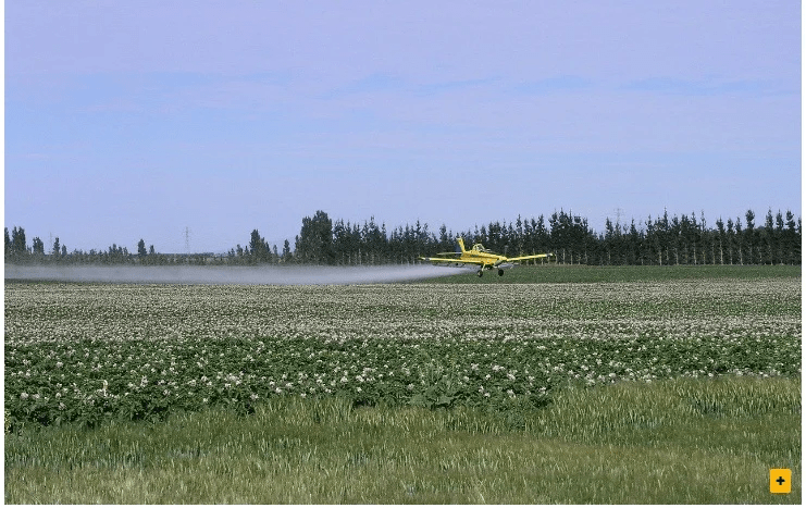 Justiça libera pulveração aérea de glifosato no MA, mesmo com riscos à saúde e ao meio&nbsp;ambiente