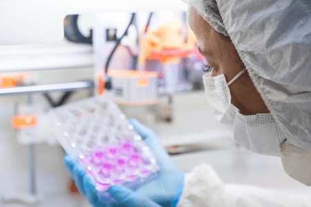 A pós-graduação brasileira em busca de&nbsp;identidade