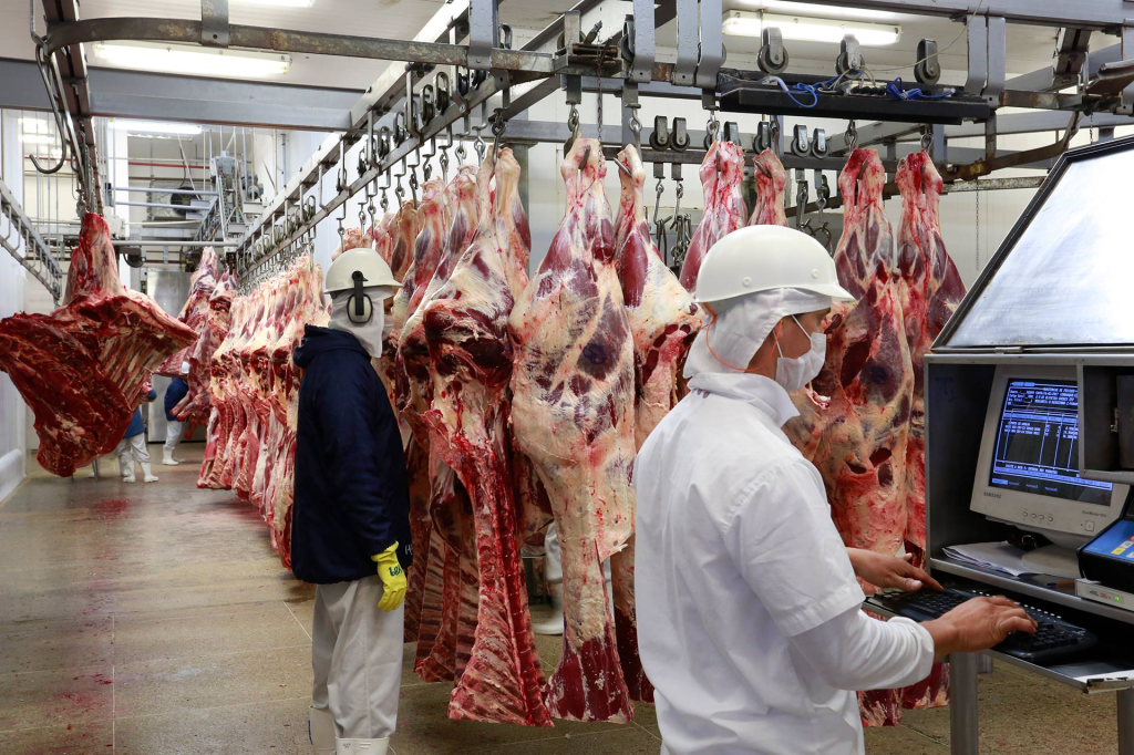 Pecuária maranhense registra aumento no abate de bovinos e frangos em 2024, mas suínos e ovos têm&nbsp;queda