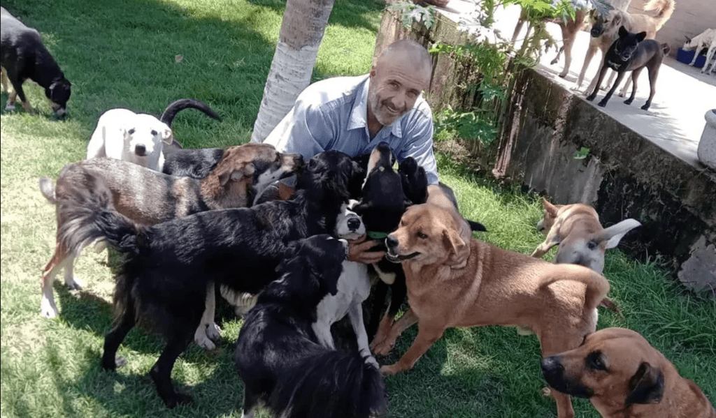 Nota de esclarecimento da Equatorial Energia sobre Abrigo com 1700 cães aguarda resposta da Equatorial Energia sobre pedido de ajuda há 1&nbsp;mês