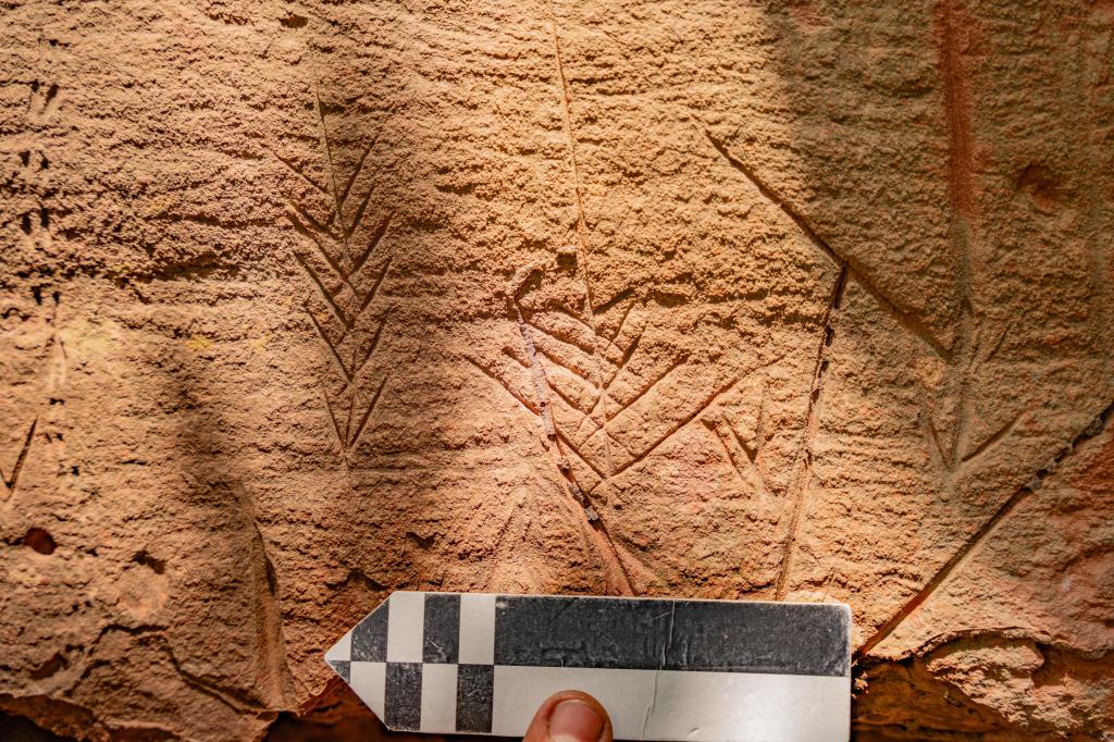 “Ritmos das Antiguidades no Maranhão” propõe novo olhar sobre o&nbsp;passado