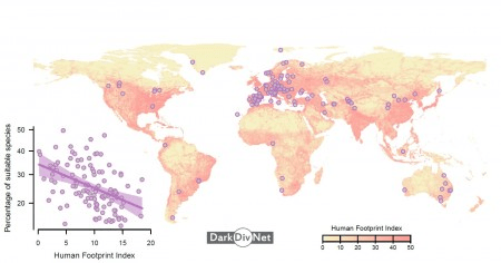 Estudo global revela impacto oculto das atividades humanas na&nbsp;natureza