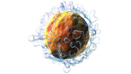 Modificação torna ainda mais potente imunoterapia usada contra câncer no&nbsp;sangue