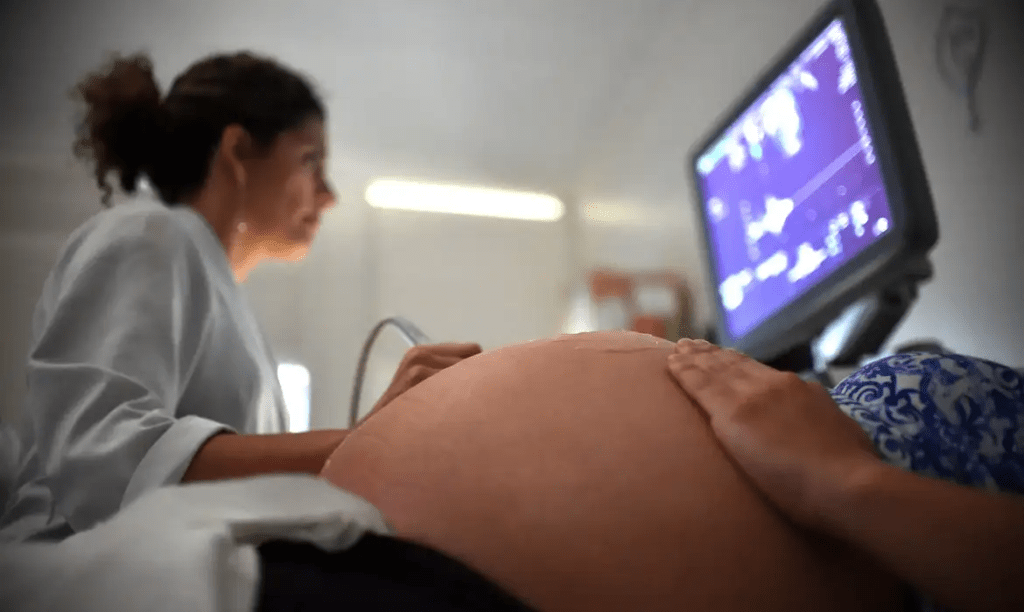 Mortes maternas por hipertensão no Brasil revelam desigualdade racial e falhas no&nbsp;pré-natal