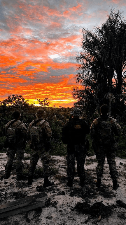 Operação da PF combate crimes ambientais em terra indígena no&nbsp;Maranhão