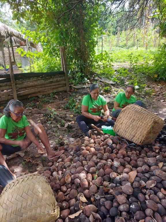 Grupo Moitará desenvolve pesquisa sobre quebradeiras de coco-babaçu no interior do&nbsp;MA