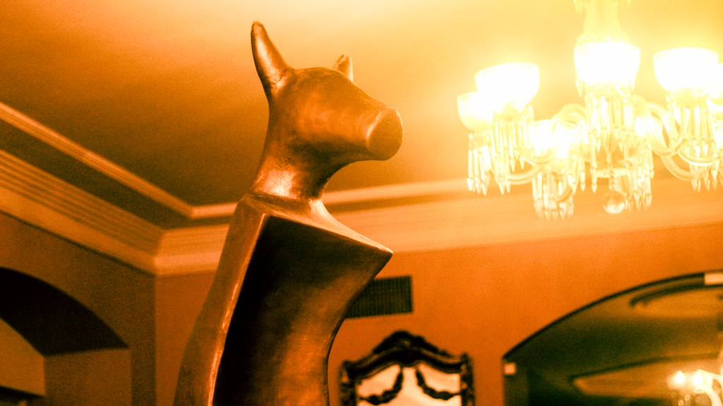 Festival Guarnicê abre inscrições para Seminário Ciência Cine e divulga seleções da Mostra&nbsp;Universitária