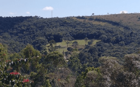 Ferramenta identifica áreas ecologicamente equivalentes para orientar projetos de&nbsp;restauração