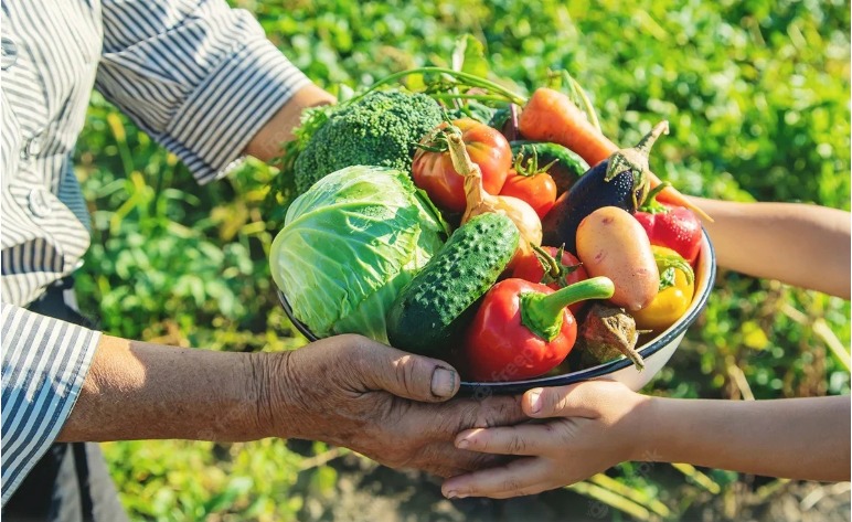 Governo anuncia Plano Safra da Agricultura Familiar com recorde de R$ 89&nbsp;bilhões