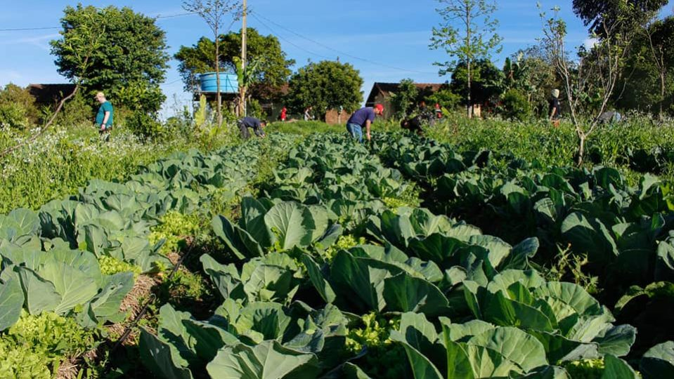 Estudo propõe abordagem integrada para combater desnutrição, obesidade e crise&nbsp;climática